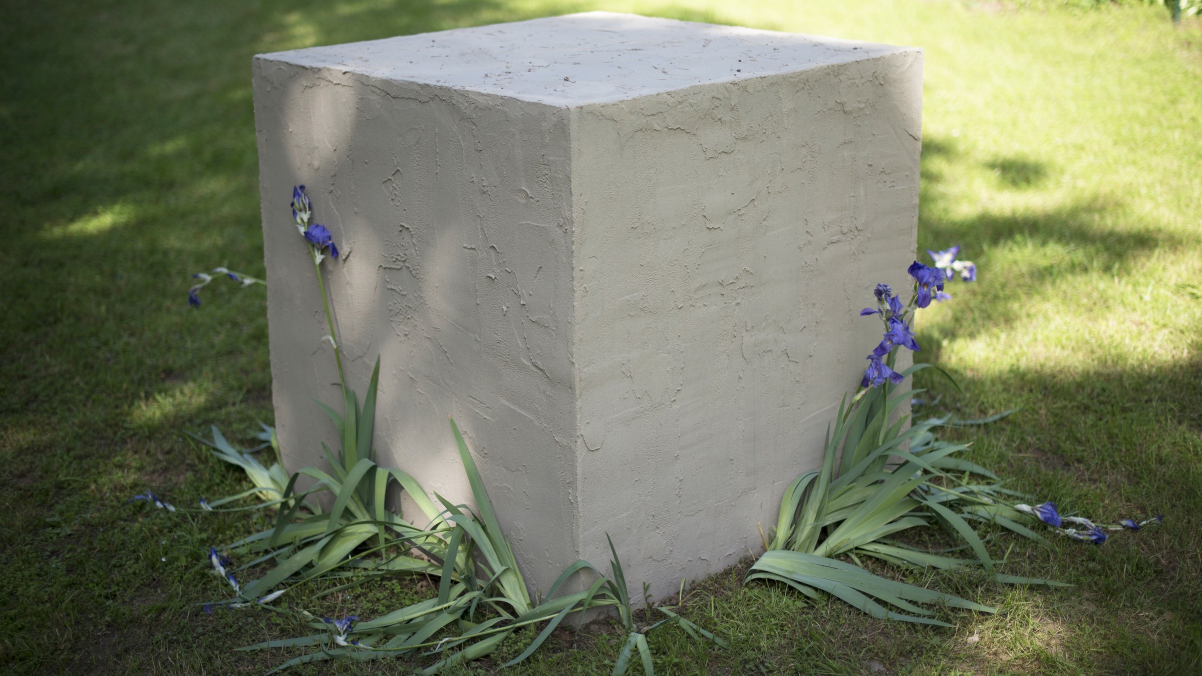 Allegoria del Buon Governo, one cubic metre of concrete pressing down on plants and vegetation